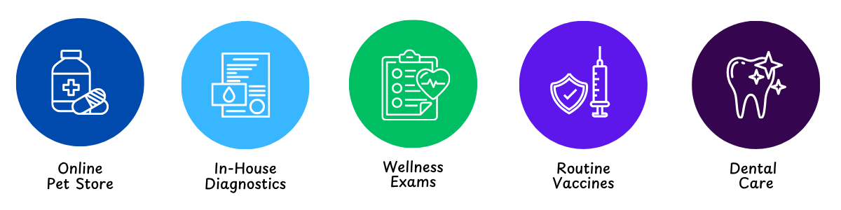 best veterinarian Newmarket