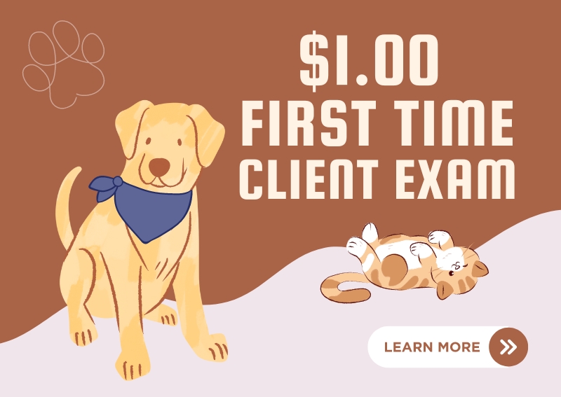 Carousel Slide 1: $1.00 First Exam for New Clients