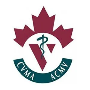 CVMA