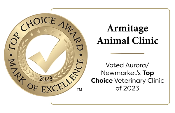 Armitage Animal Clinic - Voted Aurora/Newmarket's Top Choice Veterinary Clinic of 2023