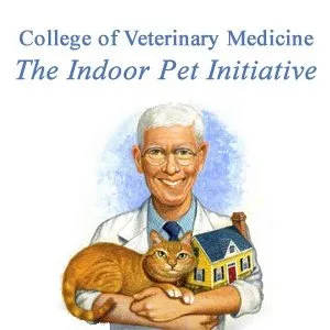 Indoor Cat Initiative & Cat Wellness News