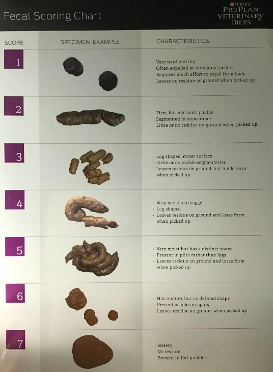 Fecal Score Chart