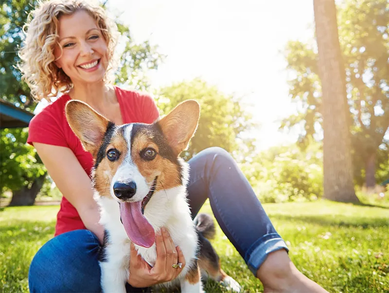 Young woman in a red shirt bonding with her corgi dog in the park.