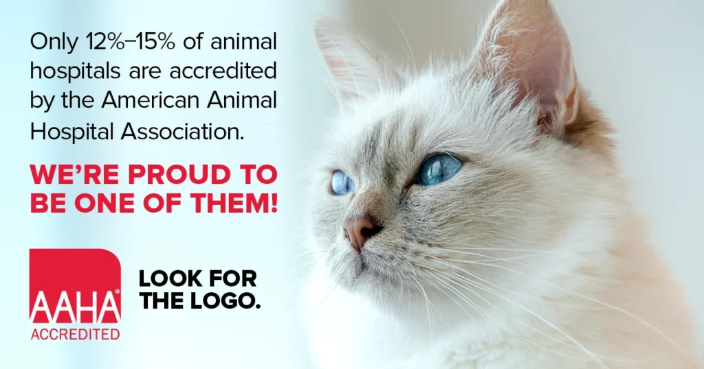 Only 12%-15% of animal hospitals are accredited by the American Animal Hospital Association. We're proud to be one of them!